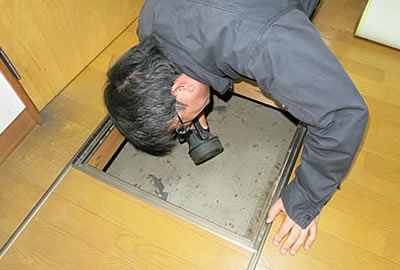 インスペクションイメージ